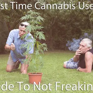 Consumidores de Cannabis por Primera Vez: Una Guía