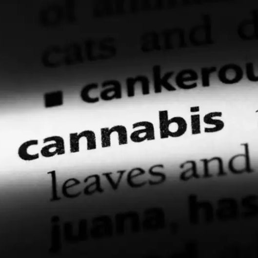Por qué puede ayudar entender la terminología de marihuana y Headshop