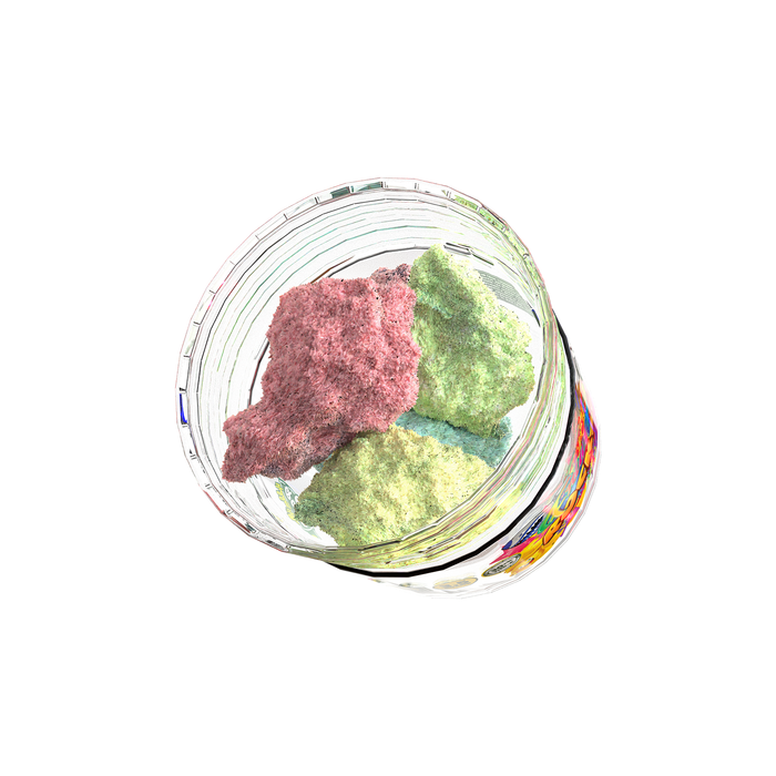 Fruity Rocks | Hybrid | Rainbow Rocks