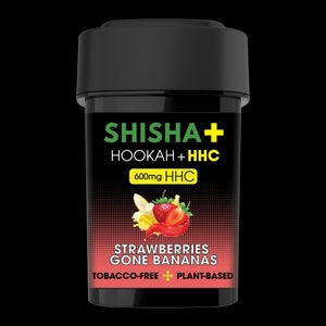 SHISHA + HHC