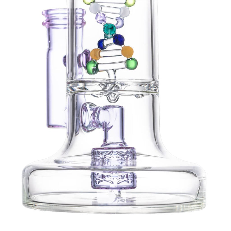 Dab Rig Calibear DNA con Spider Web Perc en Vidrio