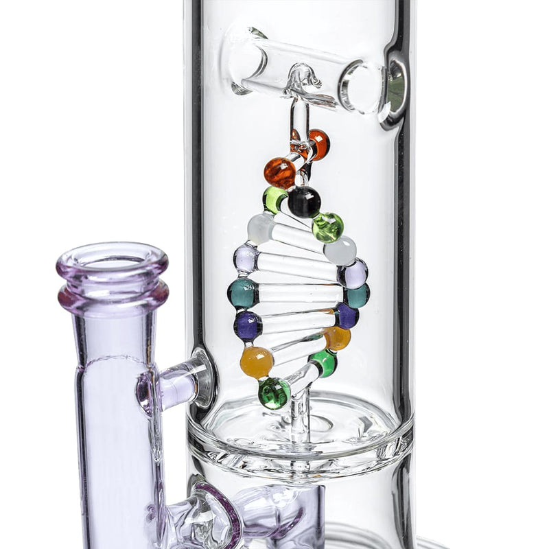 Dab Rig Calibear DNA con Spider Web Perc en Vidrio