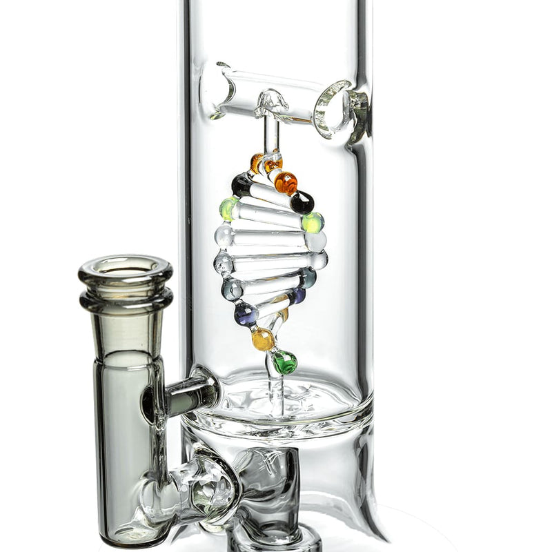Dab Rig Calibear DNA con Spider Web Perc en Vidrio