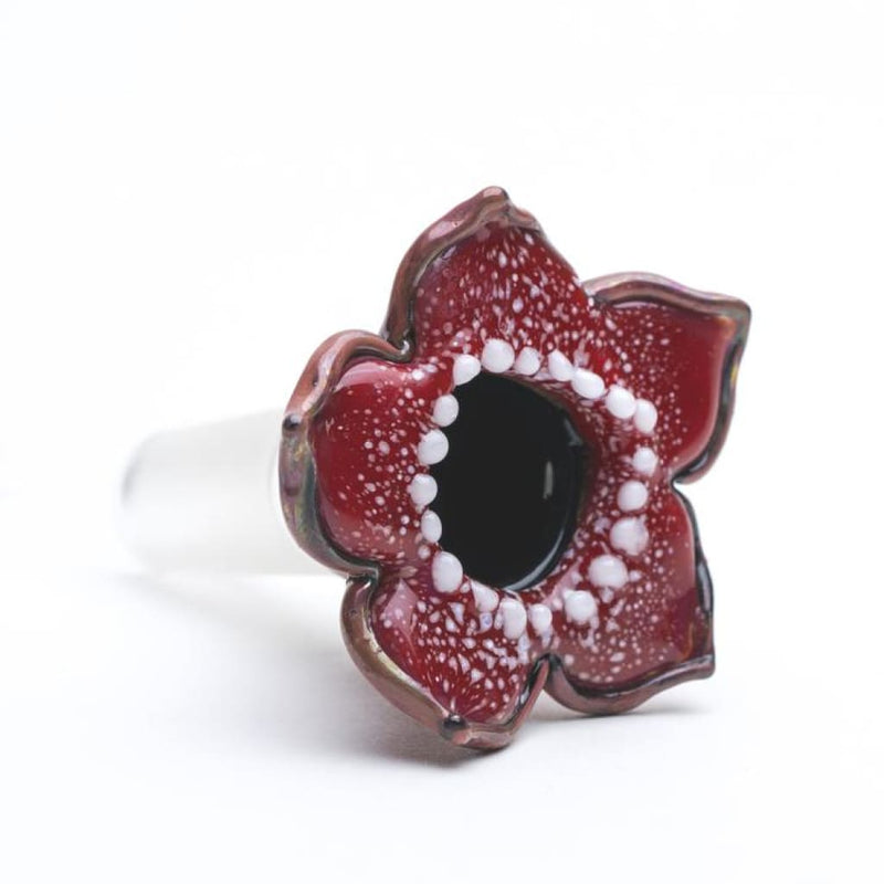 14mm Bowl - Stranger Flower On sale