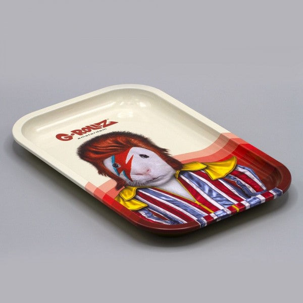G-Rollz | Pet Rocks Medium Tray 17.5x 27.5cm