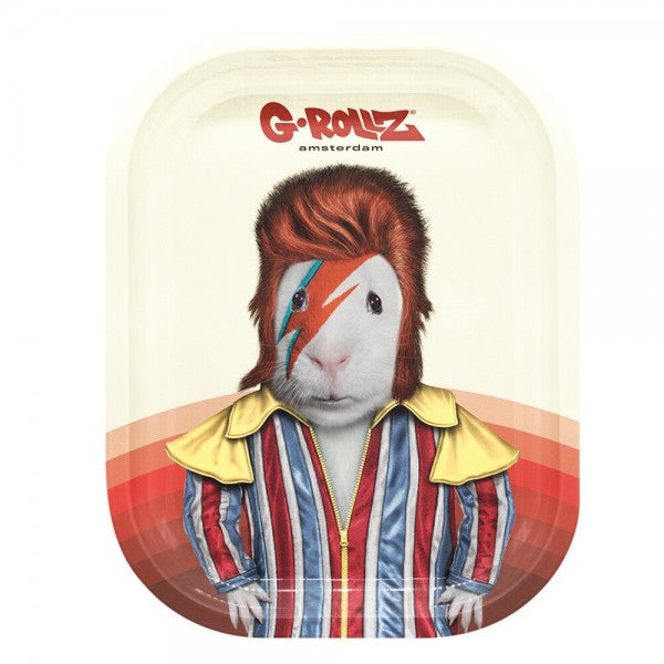 G-Rollz | Pet Rocks Small Tray 14 x 18 cm