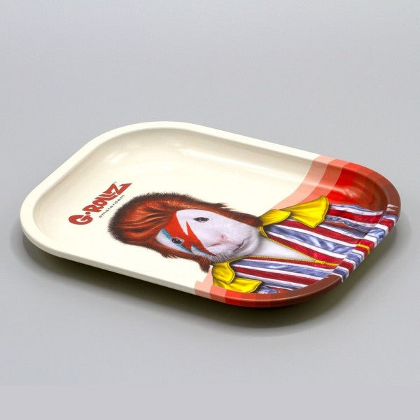 G-Rollz | Pet Rocks Small Tray 14 x 18 cm