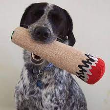 Plon de Perros