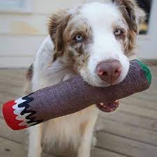 Plon de Perros